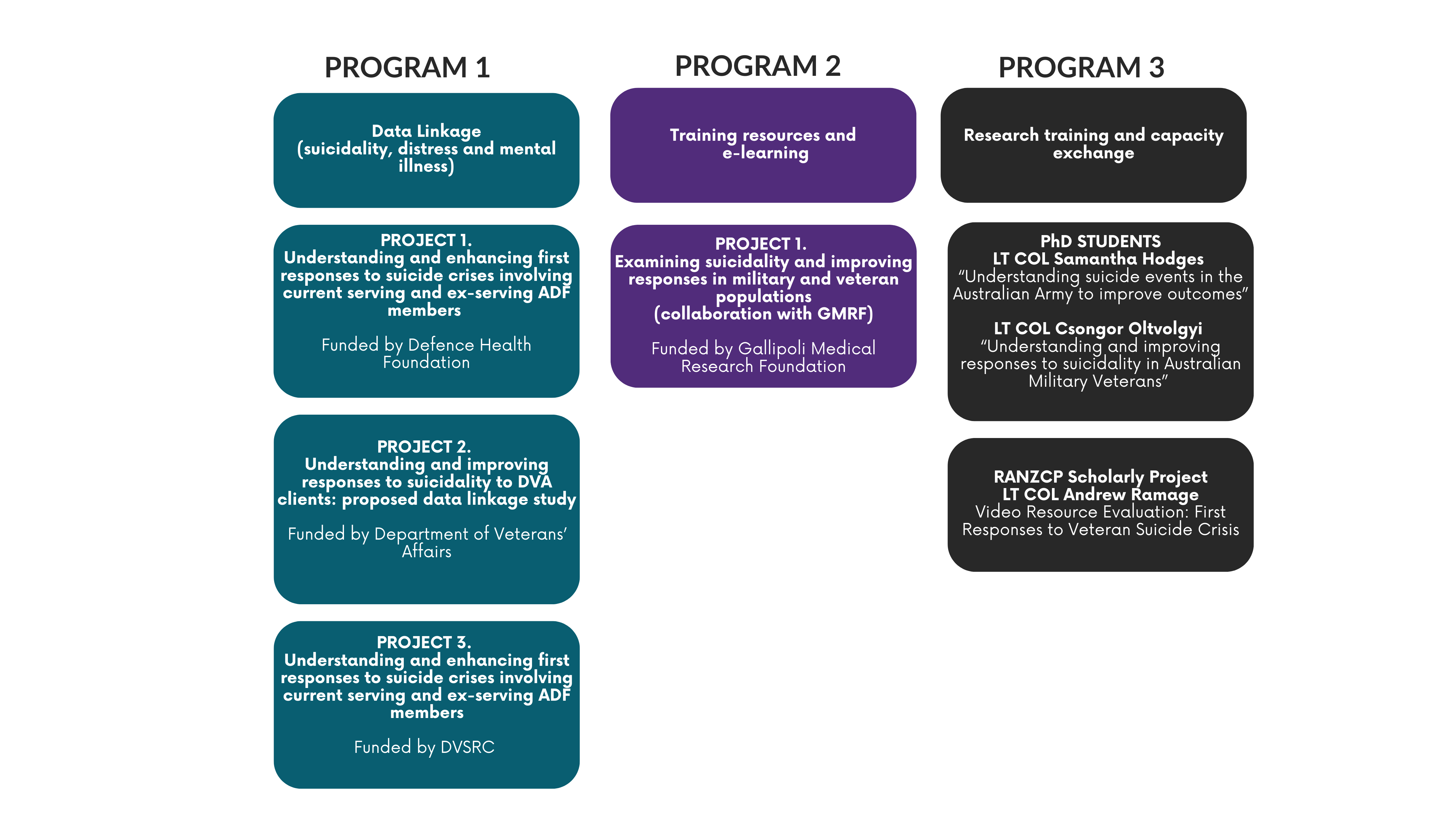 MV mental health program