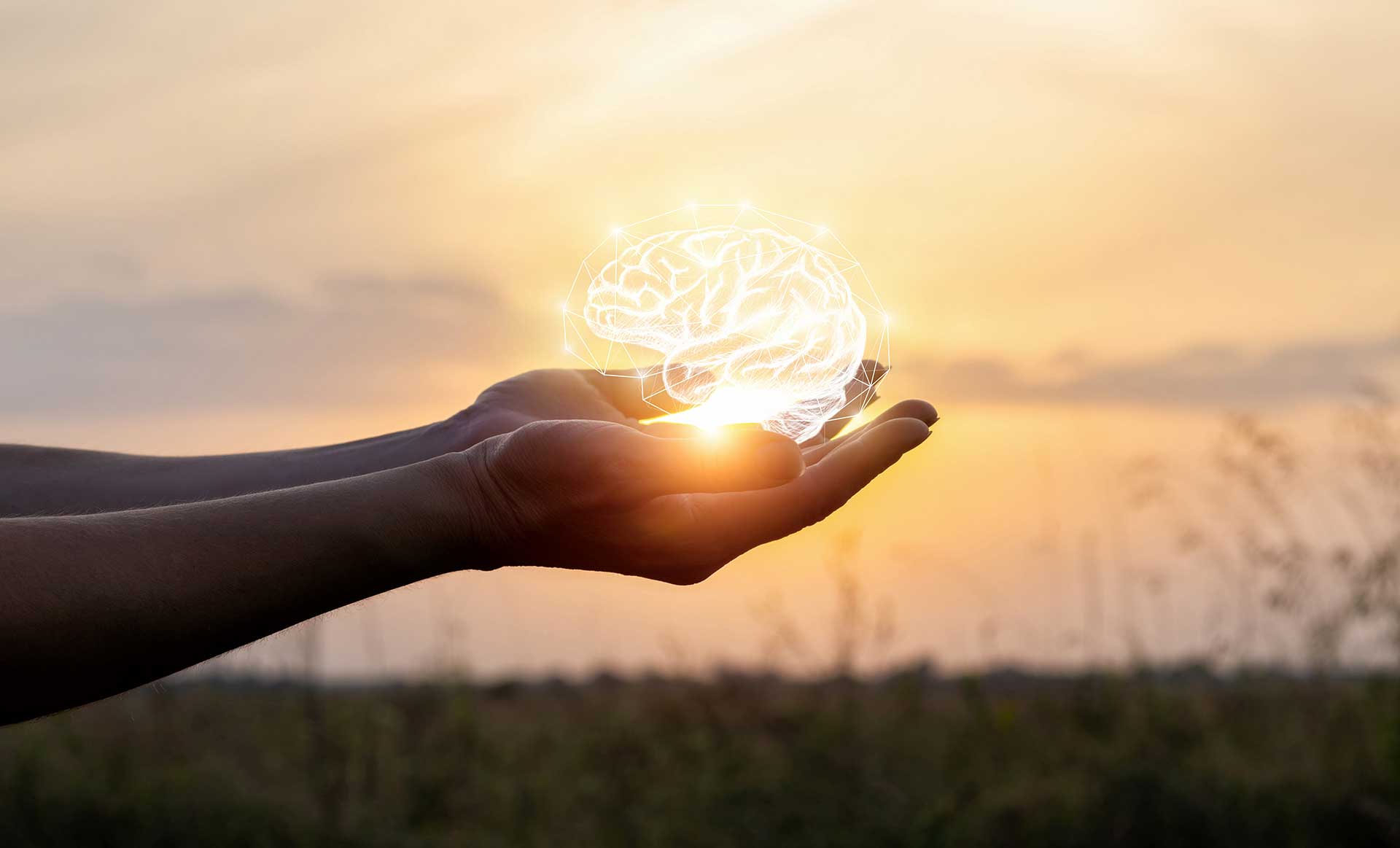Understanding the contributions and service needs of unpaid mental health carers